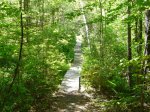 Click to enlarge Bear Brook State Park, New Hampshire, United States.
