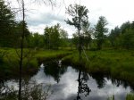 Click to enlarge Bear Brook State Park, New Hampshire, United States.