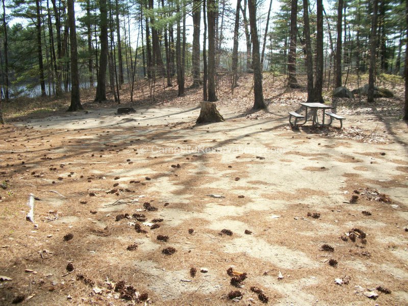 Campsite 26 in Bear Brook State Park Campground at Bear Brook State ...