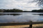 Click to enlarge Belleplain State Forest, New Jersey, United States. Lake Nummy
