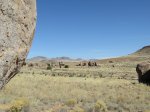 Click to enlarge City of Rocks State Park, New Mexico, United States.
