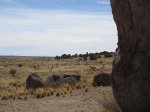 Click to enlarge City of Rocks State Park, New Mexico, United States.