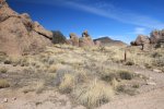 Click to enlarge City of Rocks State Park, New Mexico, United States.