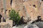 Click to enlarge Bandelier National Monument, New Mexico, United States.