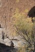 Click to enlarge Bandelier National Monument, New Mexico, United States.