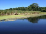 Click to enlarge Fair Haven Beach State Park, New York, United States. Sterling Creek starts from the pond on the park property and takes you out of the park for miles if you are into canoeing or kayaking.