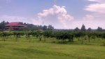 Carrollwoods Campground at Grapefull Sisters Vineyard, North Carolina, United States. 