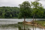 A. W. Marion State Park, Ohio, United States. Shore of AW Marion State Park.