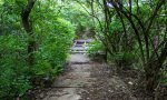 Click to enlarge Deer Creek State Park, Ohio, United States. Broken bridge along a hiking trail in day use area.
