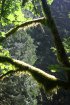 Click to enlarge Government Island State Rec Area, Oregon, United States.
