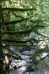 Click to enlarge Government Island State Rec Area, Oregon, United States.