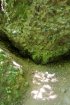 Click to enlarge Government Island State Rec Area, Oregon, United States.
