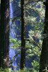 Click to enlarge Government Island State Rec Area, Oregon, United States.