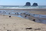 Click to enlarge Barview Jetty Park, Oregon, United States.