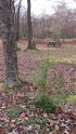 Click to enlarge Hickory Run State Park, Pennsylvania, United States. Sites 278-381 are not real private