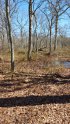 Burlingame State Park, Rhode Island, United States. Burlingame Swamp