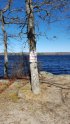 Burlingame State Park, Rhode Island, United States. It