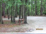 Colleton State Park, South Carolina, United States. Colleton Large picnic area