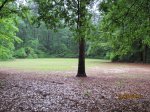 Colleton State Park, South Carolina, United States. Colleton field