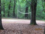 Colleton State Park, South Carolina, United States. Colleton net near field