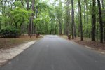 Colleton State Park, South Carolina, United States. Entrance road