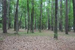 Click to enlarge Picnic area and play ground