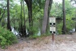 Colleton State Park, South Carolina, United States. Swamp and river edge
