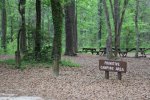 Click to enlarge Tenting area