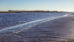 Click to enlarge Francis Marion National Forest, South Carolina, United States. View of the inter-coastal from the picnic area of Buck Hall.