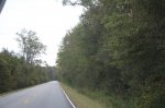 Click to enlarge Francis Marion National Forest, South Carolina, United States. Main park road.