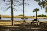 Click to enlarge Francis Marion National Forest, South Carolina, United States. Park bench and palmetto along the inter-coastal.