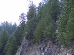 Black Hills National Forest, South Dakota, United States. 