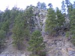 Black Hills National Forest, South Dakota, United States. 