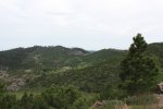 Black Hills National Forest, South Dakota, United States. 