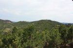 Black Hills National Forest, South Dakota, United States. 