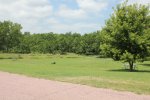 Click to enlarge Big Sioux State Rec Area, South Dakota, United States. Picnic area.