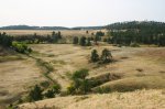 Click to enlarge Custer State Park, South Dakota, United States.