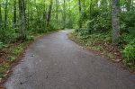 Click to enlarge Big South Fork National River and Rec Area, Tennessee, United States. Trails to the overlooks are paved. All other trails are dirt surface.