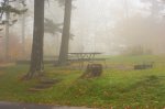 Great Smoky Mountains National Park photo 3