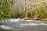 Great Smoky Mountains National Park, Tennessee, United States. 
