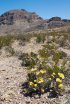 Click to enlarge Big Bend National Park, Texas, United States.
