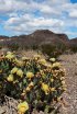 Click to enlarge Big Bend National Park, Texas, United States.