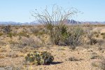Click to enlarge Big Bend National Park, Texas, United States.