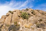 Click to enlarge Big Bend National Park, Texas, United States.