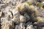 Click to enlarge Big Bend National Park, Texas, United States.