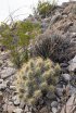Click to enlarge Big Bend National Park, Texas, United States.