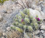 Click to enlarge Big Bend National Park, Texas, United States.