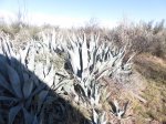 Click to enlarge Amistad National Rec Area, Texas, United States.