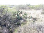 Click to enlarge Hiking trail at Diablo East