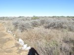 Click to enlarge Hiking trail at Diablo East